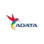 Power Bank Adata P10000Qcd 10,000Mah Usb A Usb C Negro - AP10000QCD-DGT-CBK