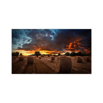 Monitor Profesional Samsung VM55B-U - 55" - Full HD - HDMI - USB - 24/7 - LH55VMBUBGBXGO