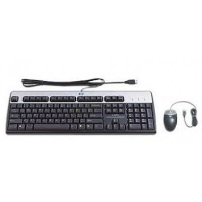 Teclado Y Mouse Hp Bfr Pvc Usb Inglés Negro/Plata - 631341-B21