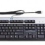 Teclado Y Mouse Hp Bfr Pvc Usb Inglés Negro/Plata - 631341-B21