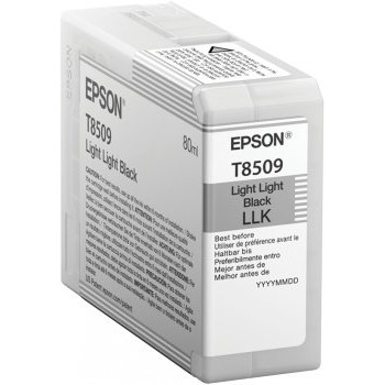 Tinta Epson T850 UltraChrome - Negro Claro Claro - 80ml - T850900