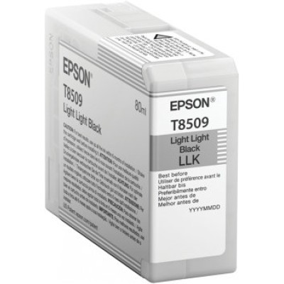 Tinta Epson T850 UltraChrome - Negro Claro Claro - 80ml - T850900