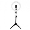 Aro De Luz Game Factor Lrg300 Usb 1.5M Negro - LRG300 Aro De Luz Game Factor Lrg300 Usb 1.5M Negro - LRG300