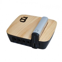 Power Station BLACKPCS 4000 mAh 4 Puertos USB Plata Modelo EPBS6-4000/5V