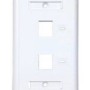 Placa de Pared ConduNet - 2 Salidas - Blanco - 8699612AFP