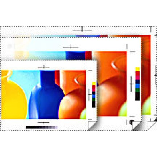 Papel Semimate Epson S042002 - Blanco -  13" x 100' - 255g/m² - Prueba de Color  - S042002