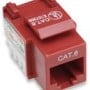 Jack Intellinet - Cat6 - RJ-45 - Rojo - 210614