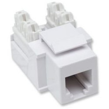 Jack Intellinet - RJ11 / RJ12 - Blanco - 210843