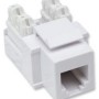 Jack Intellinet - RJ11 / RJ12 - Blanco - 210843