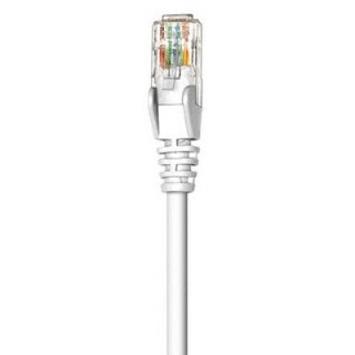 Cable de Red Intellinet - Cat6 - RJ-45 - 50cm - Blanco - 341936