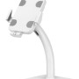Soporte Antirrobo Manhattan 406352 - 7.9" a 11" - Para Tablet - Blanco - 406352