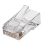 Plug QIAN - Cat6 - RJ45 - Transparente - 100 Piezas - NW6100