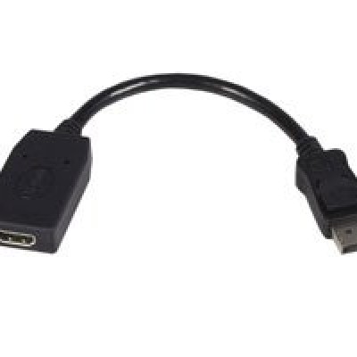 Adaptador de Video StarTech.com - DisplayPort a HDMI - 1920x1200 - 12cm - DP2HDMI