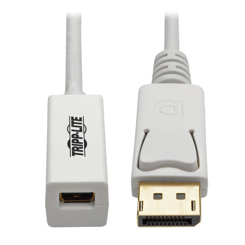 Adaptador Tripp Lite DisplayPort a Mini DisplayPort Blanco Modelo P134-06N-MDP