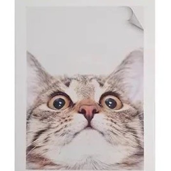 Papel Fotográfico Xiaomi - 3" - 20 Hojas - Para Impresora Mi Portable Photo Printer - 26658