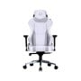Silla Gamer Cooler Master Caliber X2C - Soporta 150 kg - Blanco con Gris - CMI-GCX2C-GW