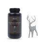 Resina Creality Lavable Plus - 500g - Gris - 3302010045