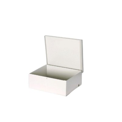 Gabinete DSC GS-004 - Metálico - Para modulos DSC SECO LARM - 190x230x90mm - GS-004