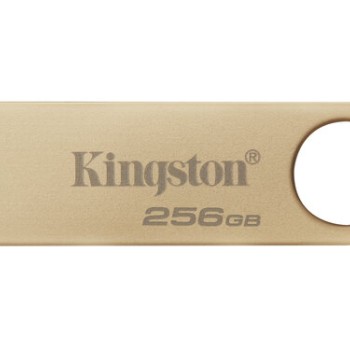 Memoria USB Kingston DataTraveler SE9 G3 256GB USB 3.2 Oro