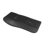 Teclado Klip Xtreme Transcend Wireless - Inalámbrico - USB - Español - Multimedia - KBK-530S