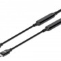 Cable USB C Macho Manhattan  - USB C Macho - 3 Metros - Negro - 355964