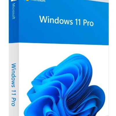 Microsoft Windows 11 Pro - 1 Licencia - OEM - 64-Bit - Español - DVD - Físico - Solo Equipos Nuevos - FQC-10553