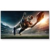 Monitor Profesional Sharp 4P-B43EJ2U - 43" - UHD - HDMI - USB - 16/7 - 4P-B43EJ2U