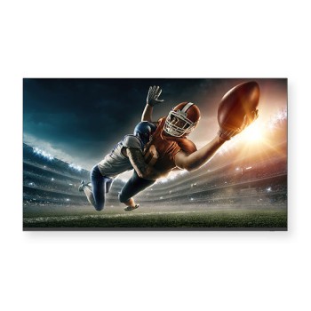 Monitor Profesional Sharp 4P-B43EJ2U - 43" - UHD - HDMI - USB - 16/7 - 4P-B43EJ2U