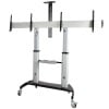 Soporte de Piso StarTech.com STNDMTVDUO - 37 "a 60" - Soporta 50Kg - Para 2 Pantallas - Móvil - STNDMTVDUO