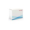 Unidad de Limpieza Xerox 108R01036 - 108R01036 Unidad de Limpieza Xerox 108R01036 - 108R01036
