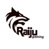 RAIJU GAMING
