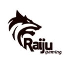 RAIJU GAMING