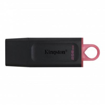 Memoria USB Kingston DataTraveler Exodia 256GB USB 3.2 Gen 1 Negro con Rosa - DTX/256GB