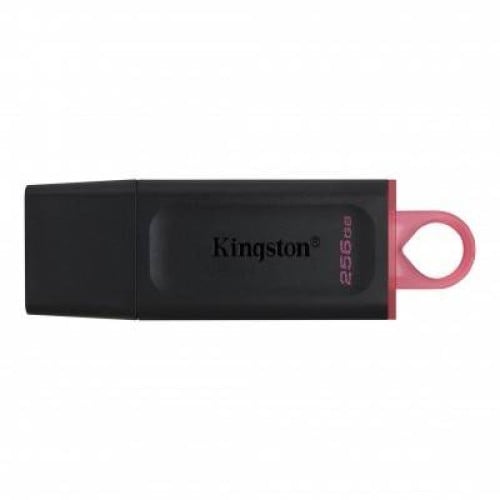 Memoria USB Kingston 256GB USB 3.2 - DTX/256GB