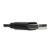 Diadema Targus AEH101TT - Alámbrica USB con Micrófono Cancelación Ruido - Negro Diadema Targus AEH101TT - Alámbrica USB con Micrófono Cancelación Ruido - Negro