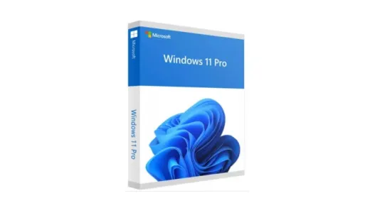 Windows 11 Pro OEM FQC-10553: licencia original para PC