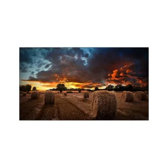 Monitor Profesional Samsung 46 Pulgadas Full HD Videowall VM46B-U LH46VMBUBGBXGO Monitor Profesional Samsung 46 Pulgadas Full HD Videowall VM46B-U LH46VMBUBGBXGO