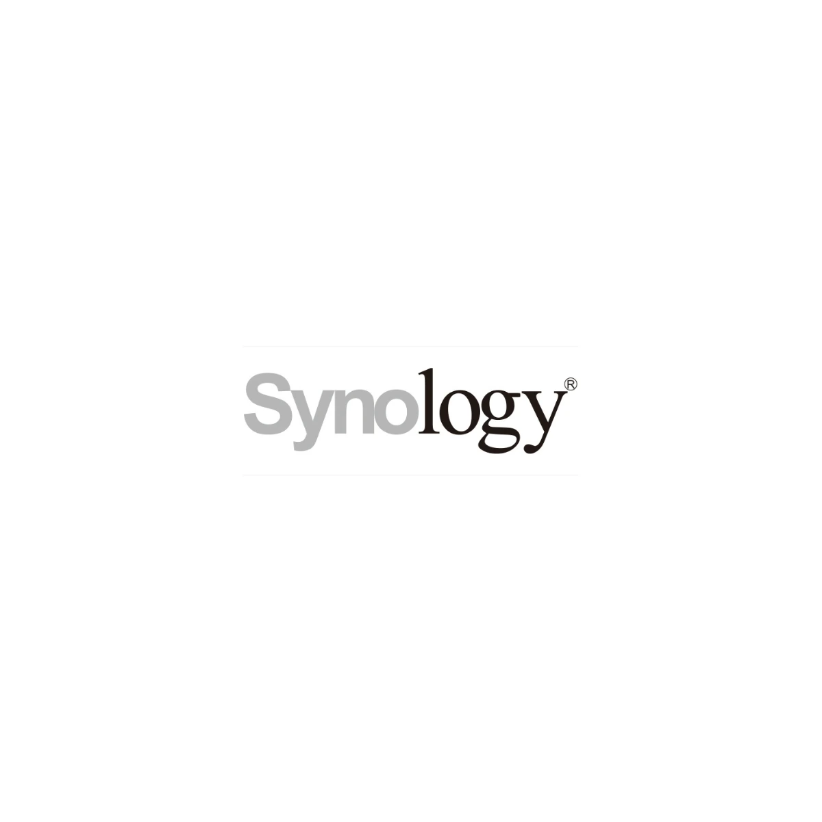 Logo de Synology