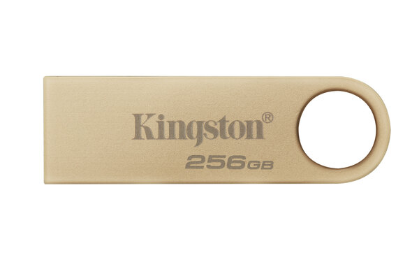 Memoria USB Kingston DataTraveler SE9 G3 256GB USB DTSE9G3 256GB