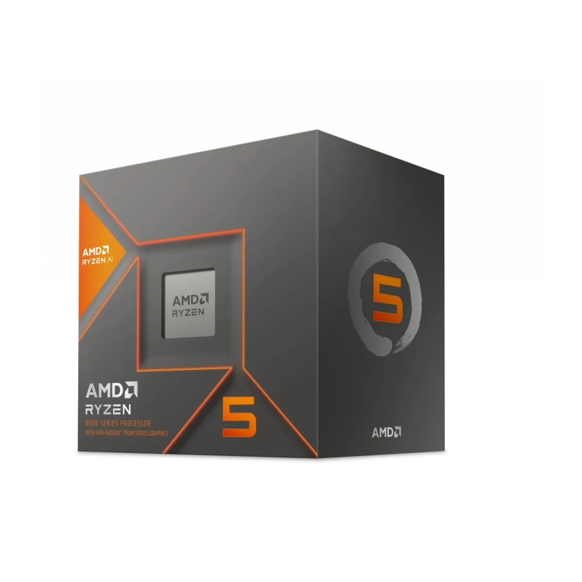 amd procesador 100 100001237box