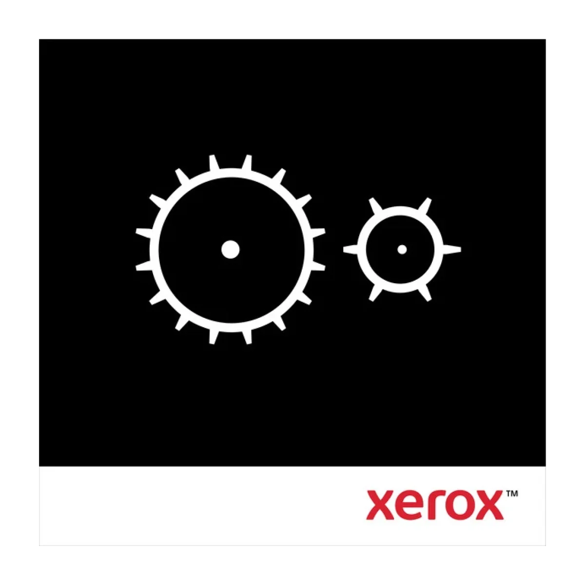 Rodillo de Transferencia Xerox 116R00036 para Vers 116R00036