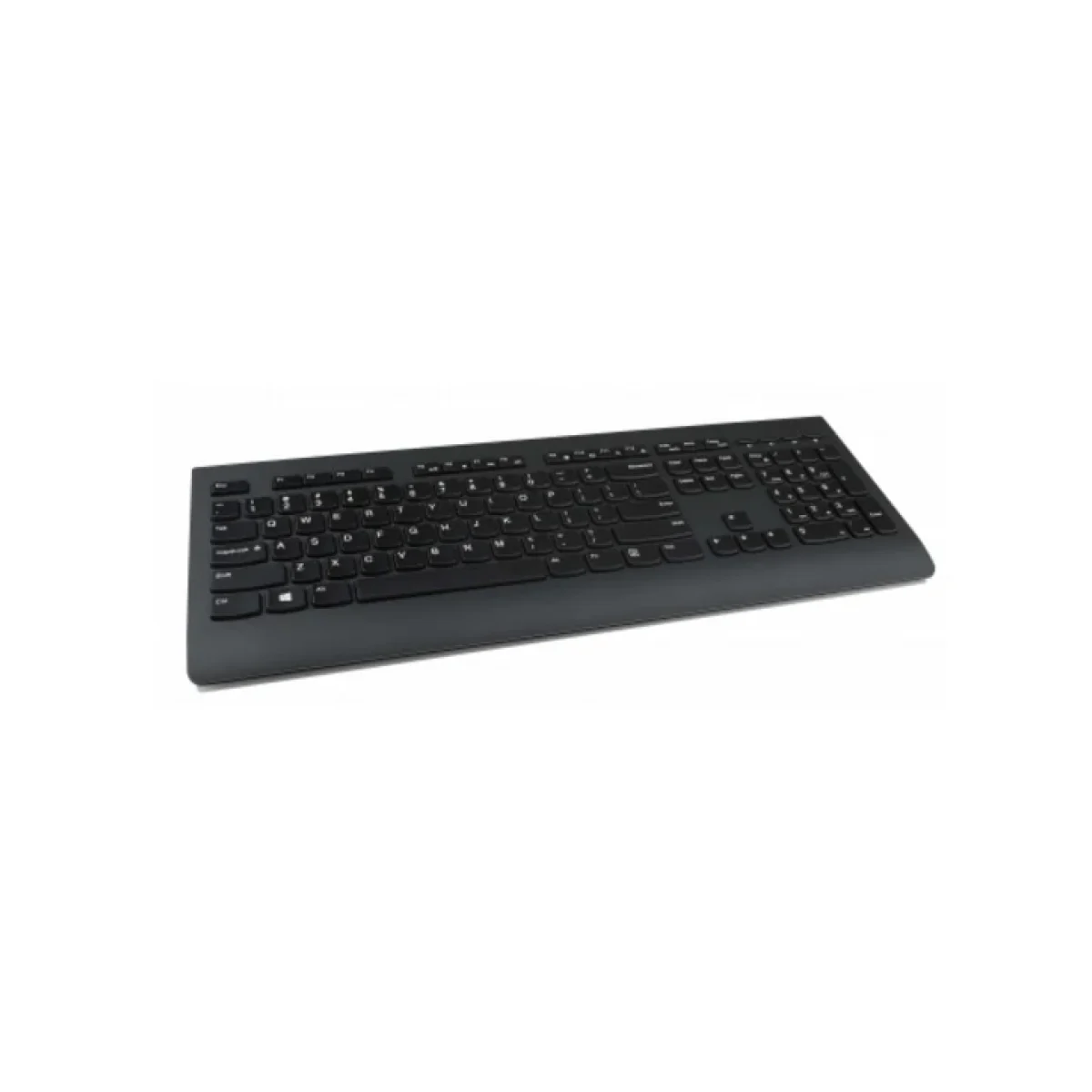 lenovo teclado profesional usb 4x30h56876