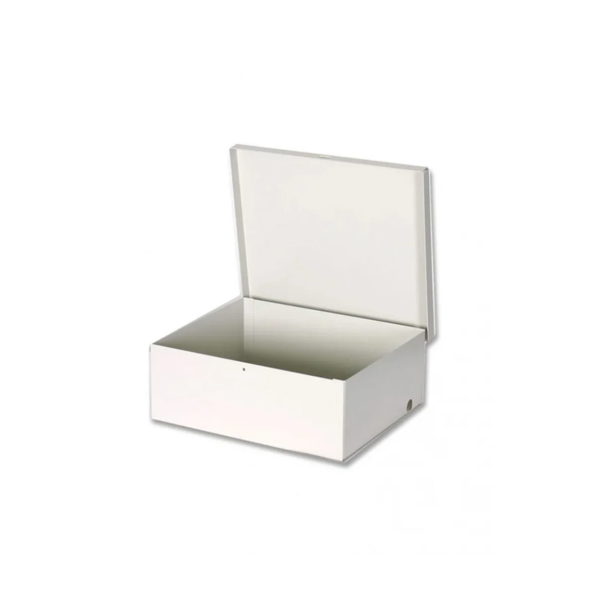 Gabinete DSC GS 004 Metalico Para modulos DSC SECO GS 004
