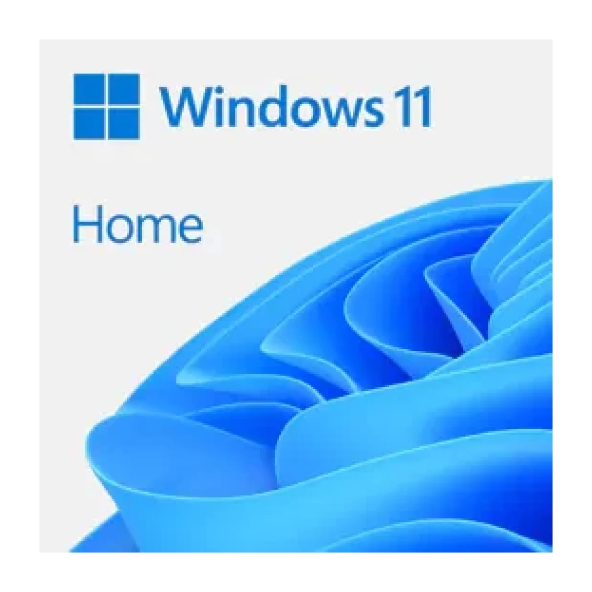 Microsoft Windows 11 Home 1 Licencia 64 bits Pluri KW9 00664